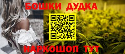 spice Бердск