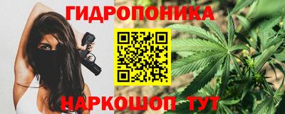 spice Бердск