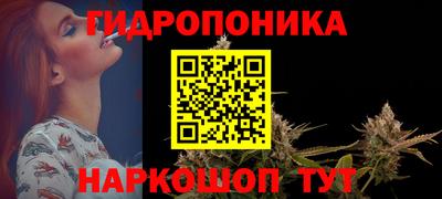 spice Бердск