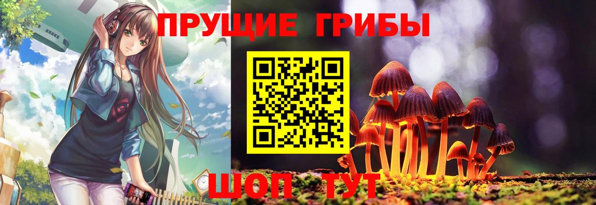 дарнет шоп  Вход с VPN  Брянск  Галлюциногенные грибы мухоморы 